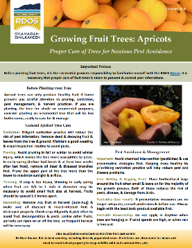 Apricot Factsheet Image