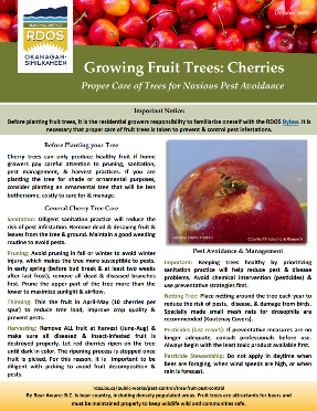 Cherry Factsheet Image