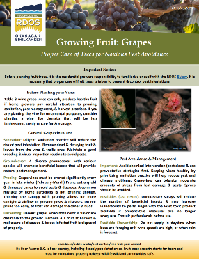 Grape Factsheet Image