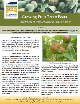 Pear Factsheet Image