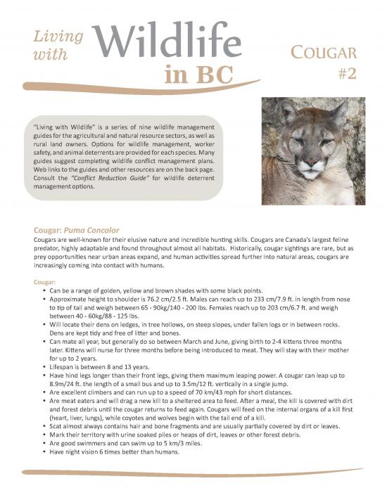 Living with Wildlife Cougar pg1