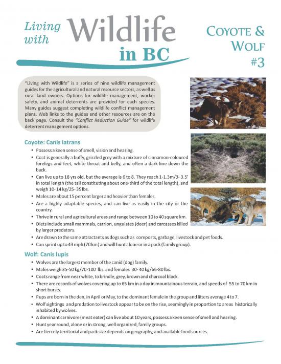 Living with Wildlife Coyote Wolf pg1