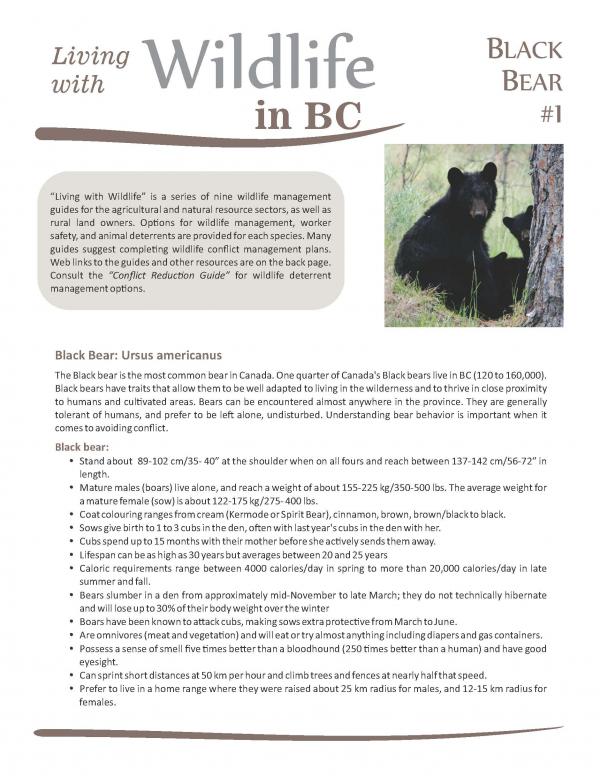Living with Wildlife Bears pg1
