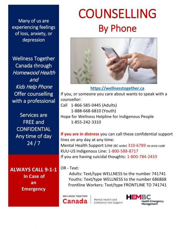 Counselling Flyer and Crisis Lines