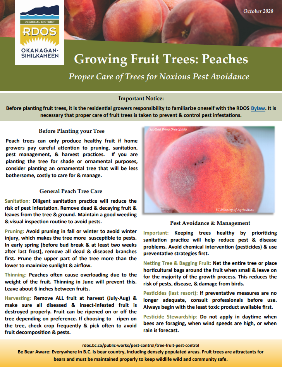 Peach Factsheet Image